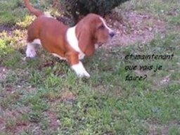 channah_20211128_1882597261